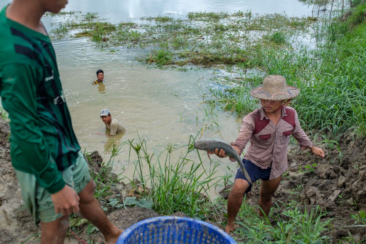 Employees at Ko Kyaw Sein Tun's fish farm