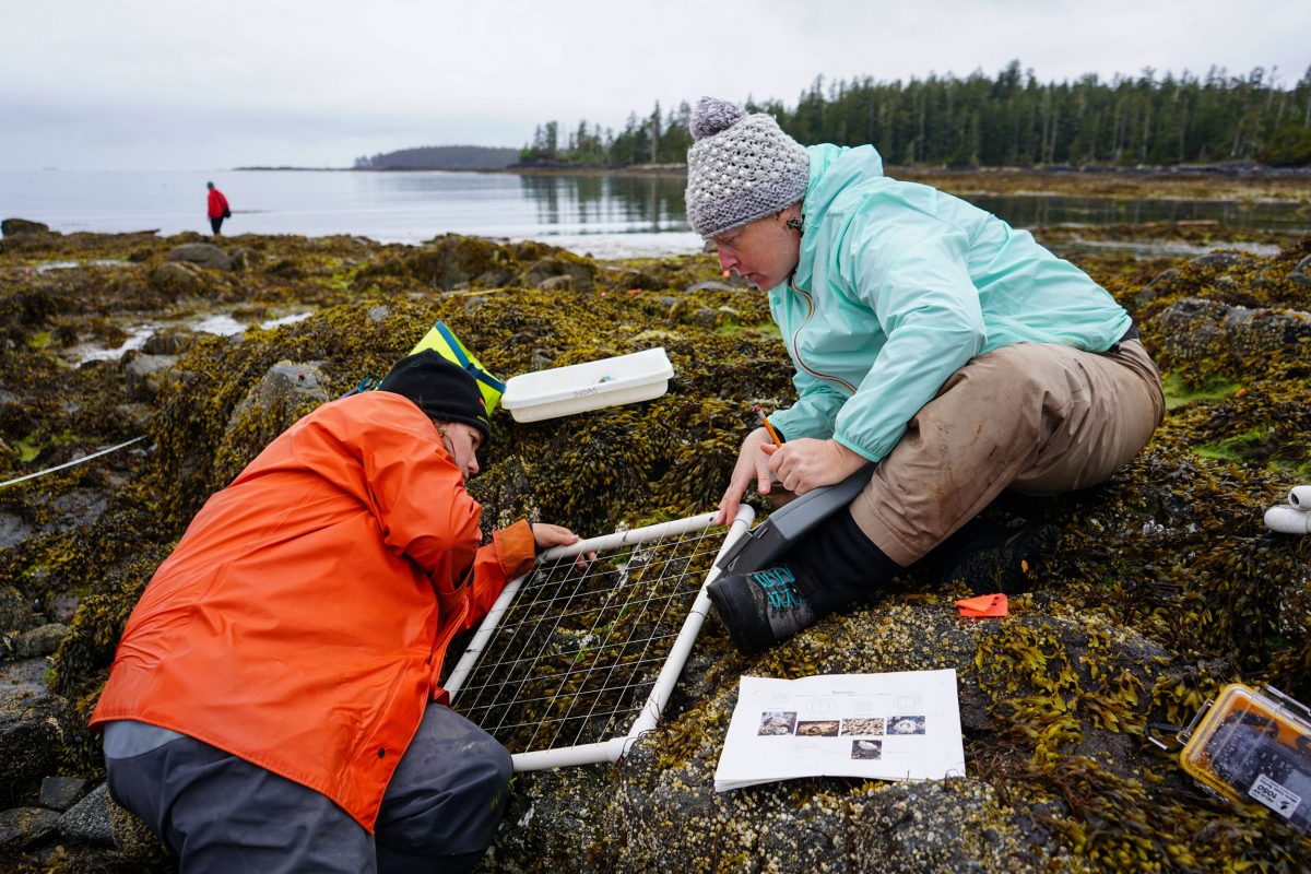 Researchers on Goose Island, British Columbia