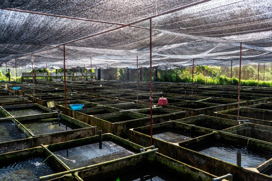 recirculating aquaculture system