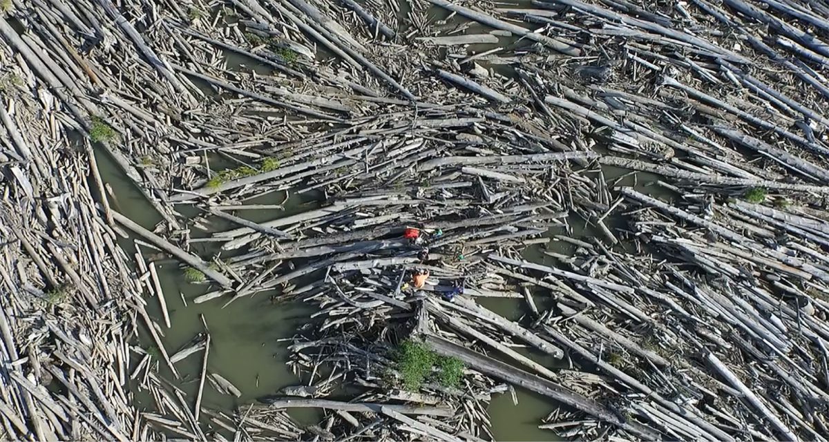 aerial photo of researchers on a logjam on the Slave River