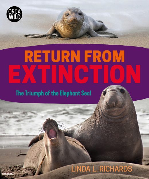 cover of Return from Extinction
