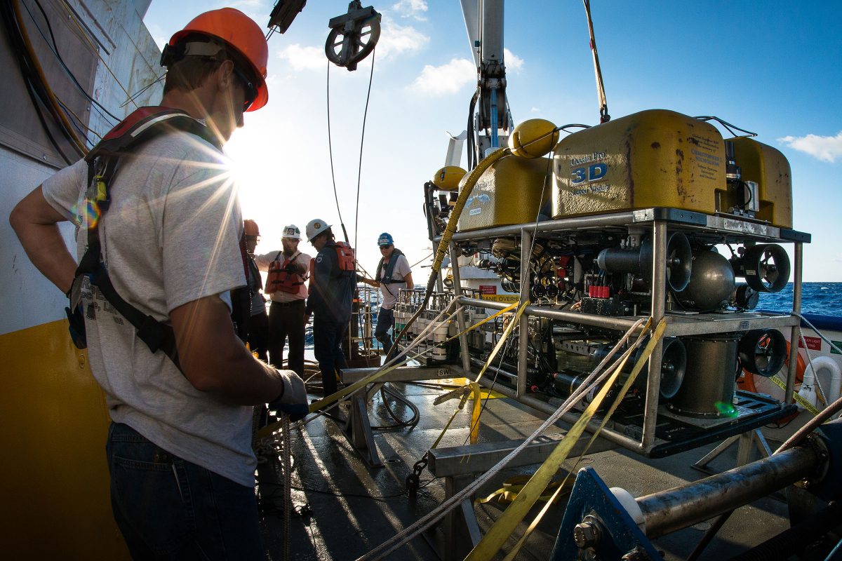 Crew members on a Louisiana Universities Marine Consortium ship prepare to deploy a remotely operated vehicle to check on a sunken alligator carcass
