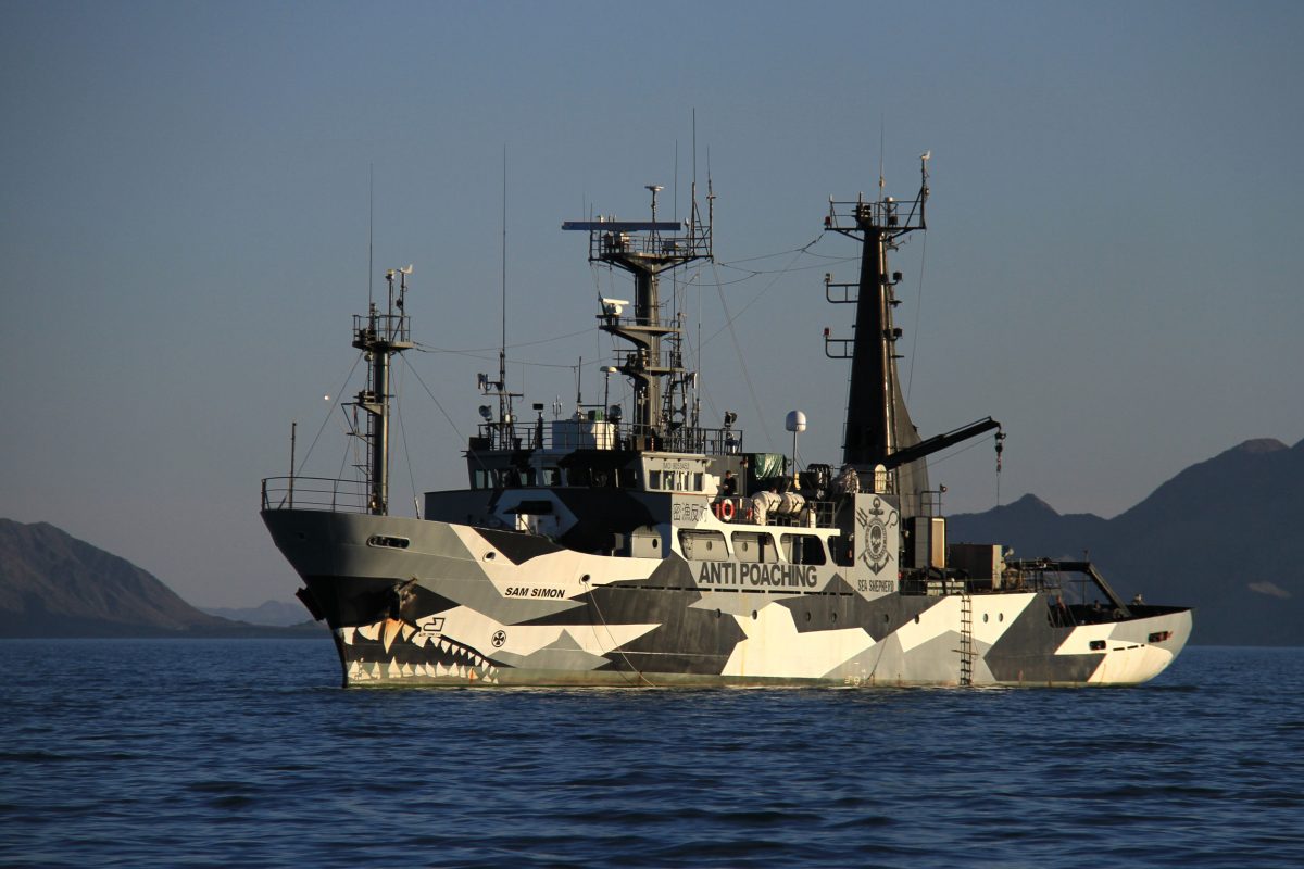 Sea Shepherd’s MV Sam Simon patrols the Upper Gulf in April 2017, dragging grappling hooks in hopes of snagging illegal totoaba nets. The hardline environment group, which is accustomed to controversy, has drawn fire from some leaders in the fishing community because of escalating local tensions over fishing restrictions and heightened enforcement measures meant to protect vaquitas. Photo by Sarah Gilman