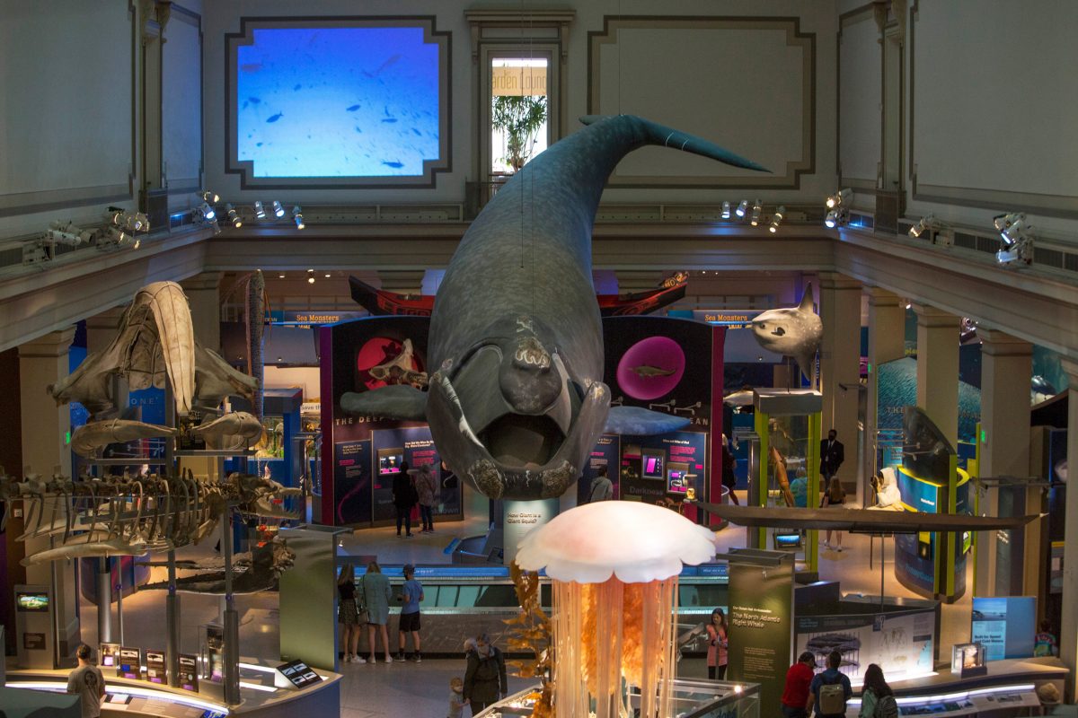 Smithsonian National Museum of Natural History in Washington, D.C