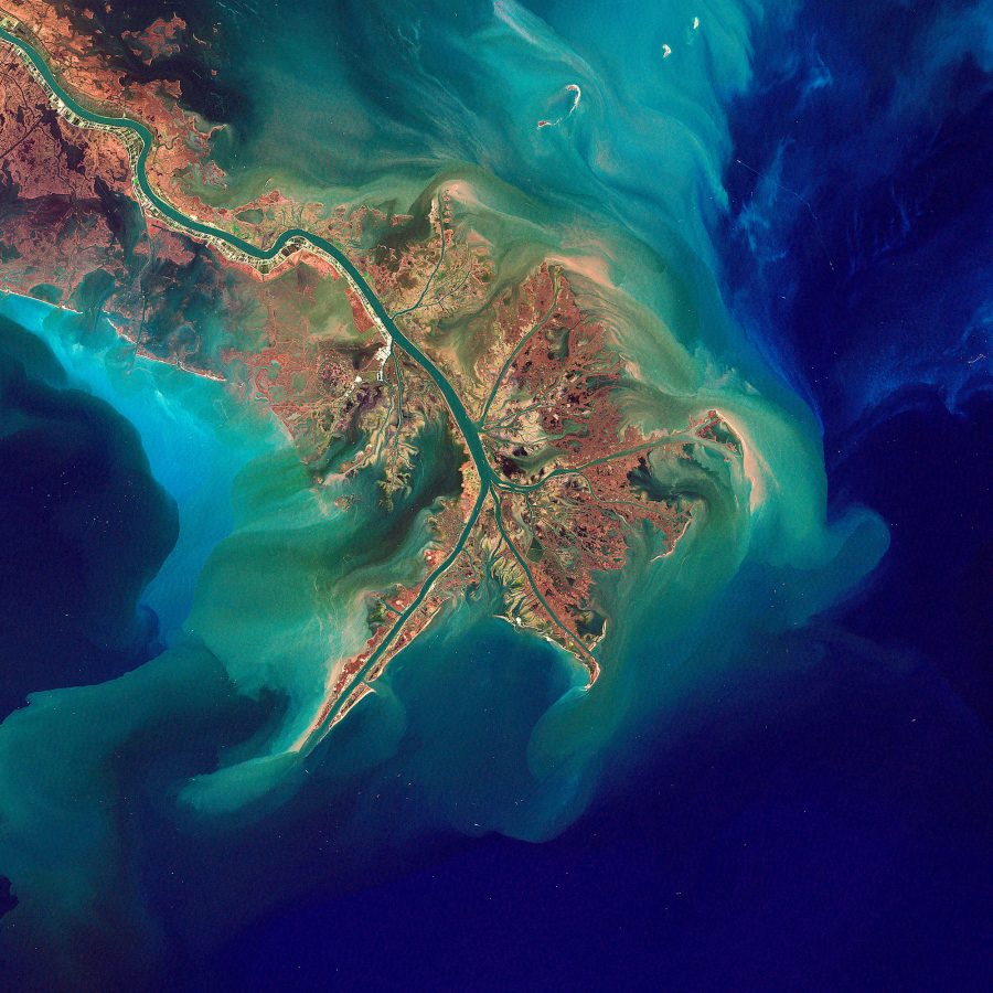 satellite image of the Mississippi River Delta