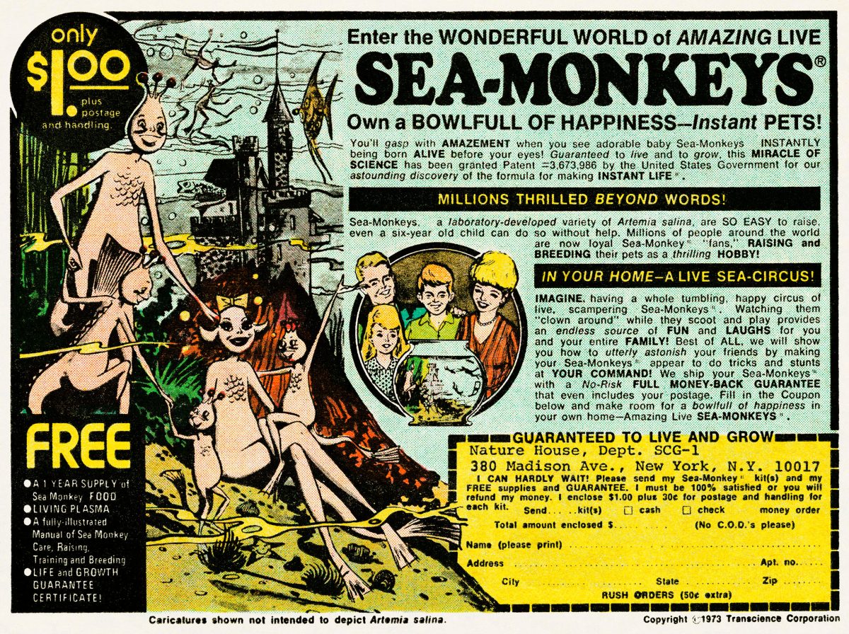 sea monkey ad