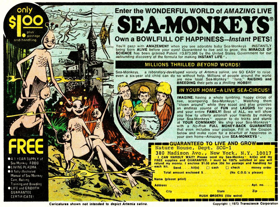 Ad for sea monkeys