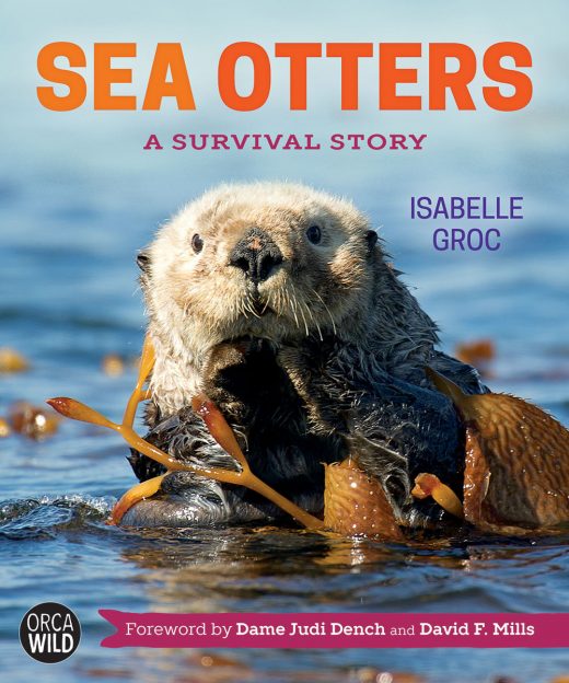cover of Sea Otters: A Survival Story