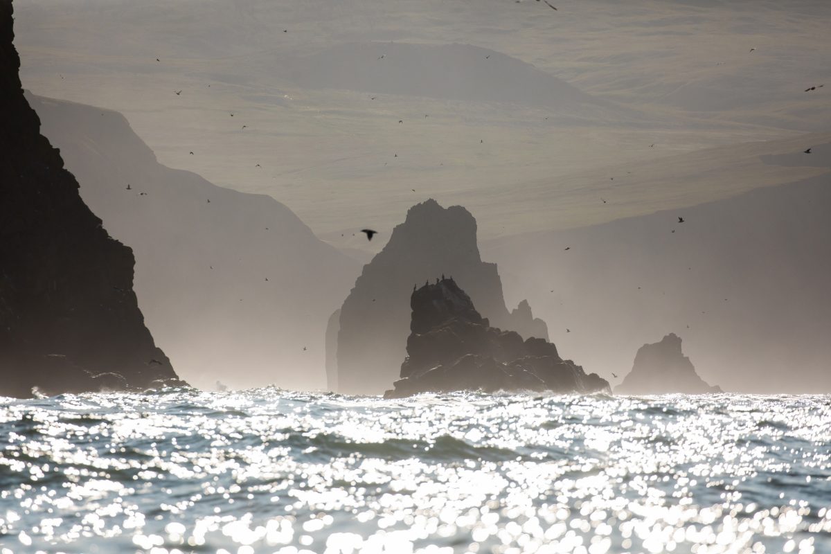 Seabirds fly between the islands and sea stacks off the northwest coast of St. Matthew Island. 