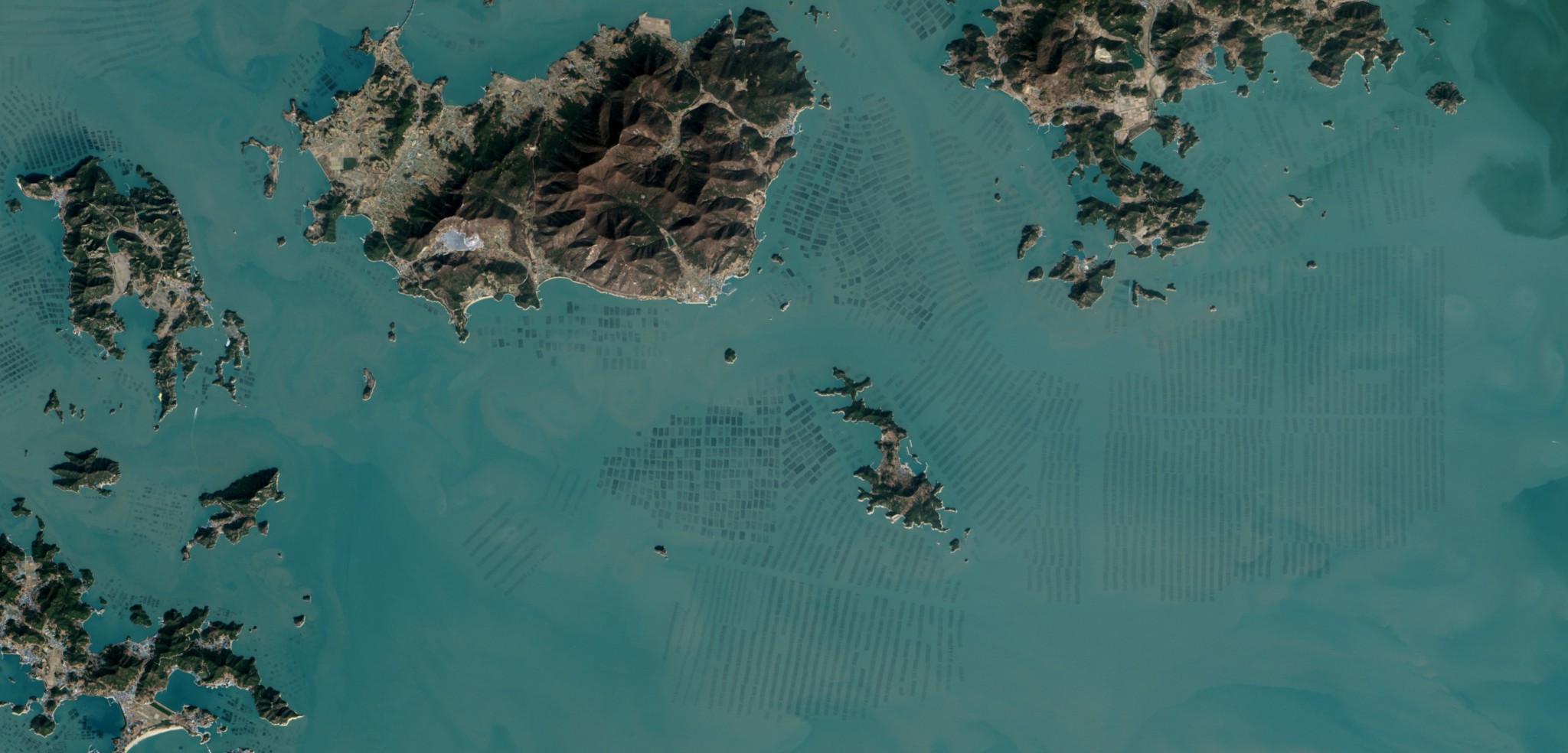 South Korean seaweed farms. Photo by Jesse Allen/NASA Earth Observatory/USGS/Landsat 8–OLI