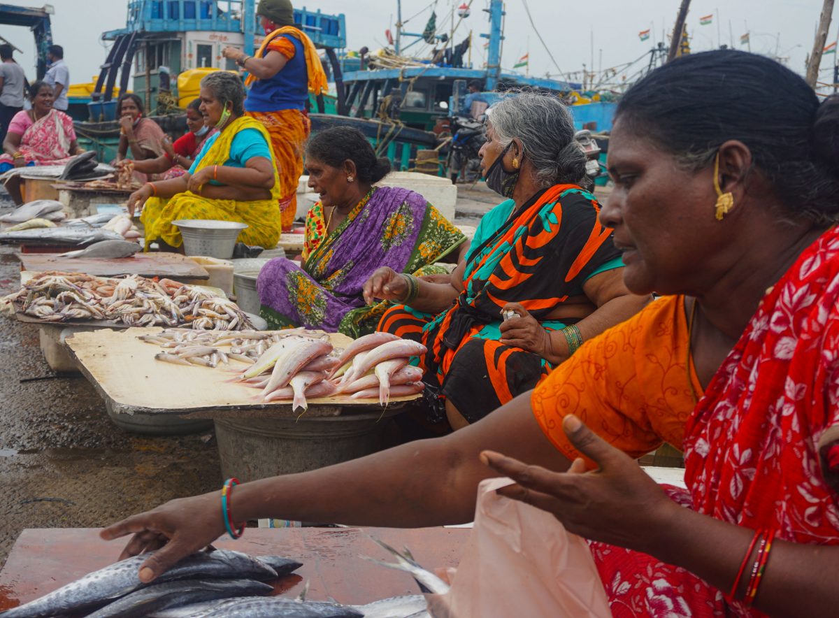 Women sell their fish in Kasimedu harbor, Chennai, India