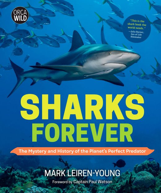 cover of Sharks Forever