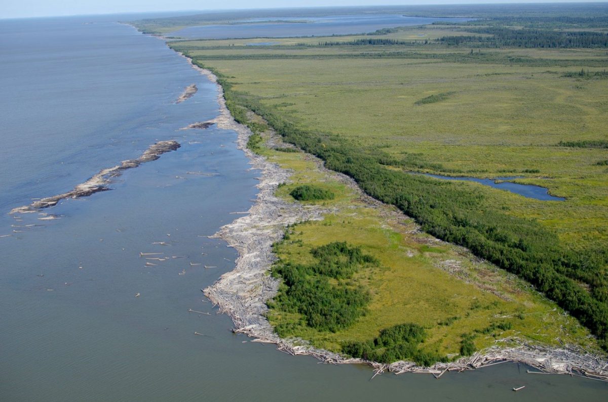 aerial photo of driftwood along the shore of the Slave River's outer delta