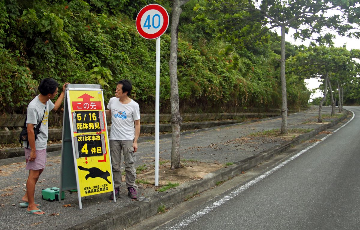 Yusuke Takayama (left) and Masayuki Sakamoto from the Japan Tiger and Elephant Fund examine a road sign on Iriomote Island, Japan, indicating how many wildcats have been killed to date in 2018 and placed at the site of the last fatal accident. Photo by Rachel Nuwer