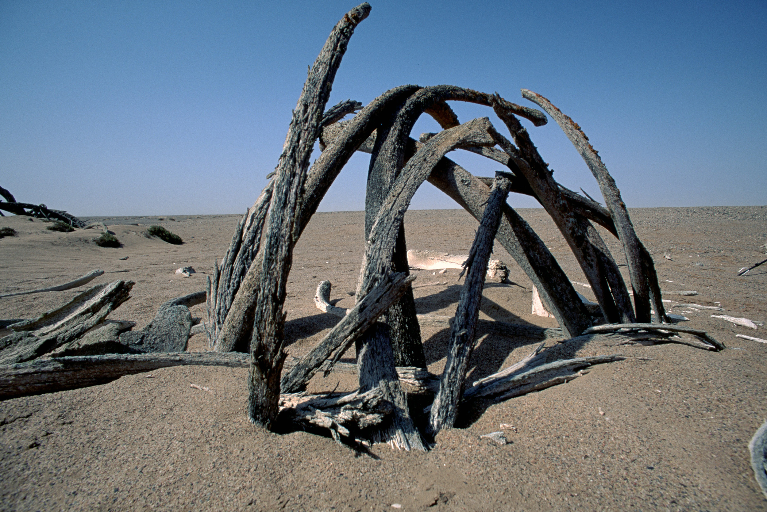 Скелеты сахары. Намибия берег скелетов (Skeleton Coast). Китовые кости на побережье.