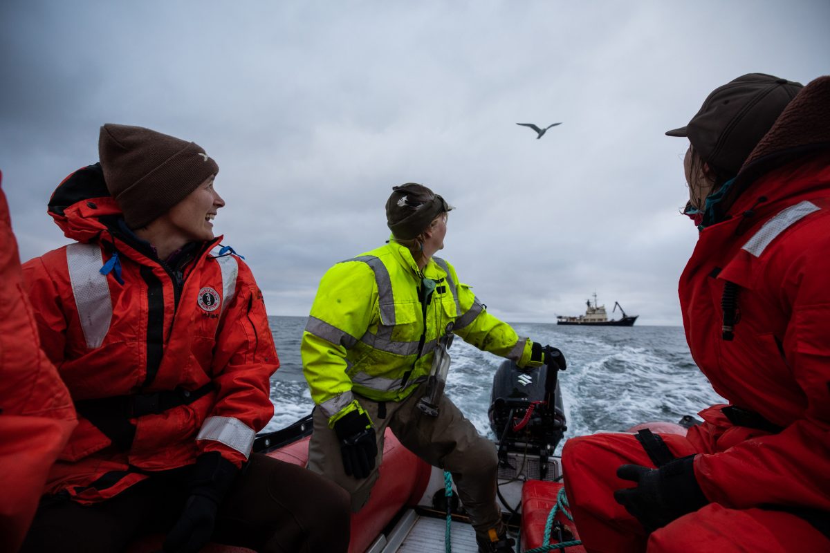 Brie Drummond (left), biologist for Gulf of Alaska and Alaska Peninsula units of the Alaska Maritime National Wildlife Refuge; Jen Smola (center), deckhand for the refuge’s research vessel, Tiĝlax̂; and author Sarah Gilman (right) motor away from the Tiĝlax̂. 