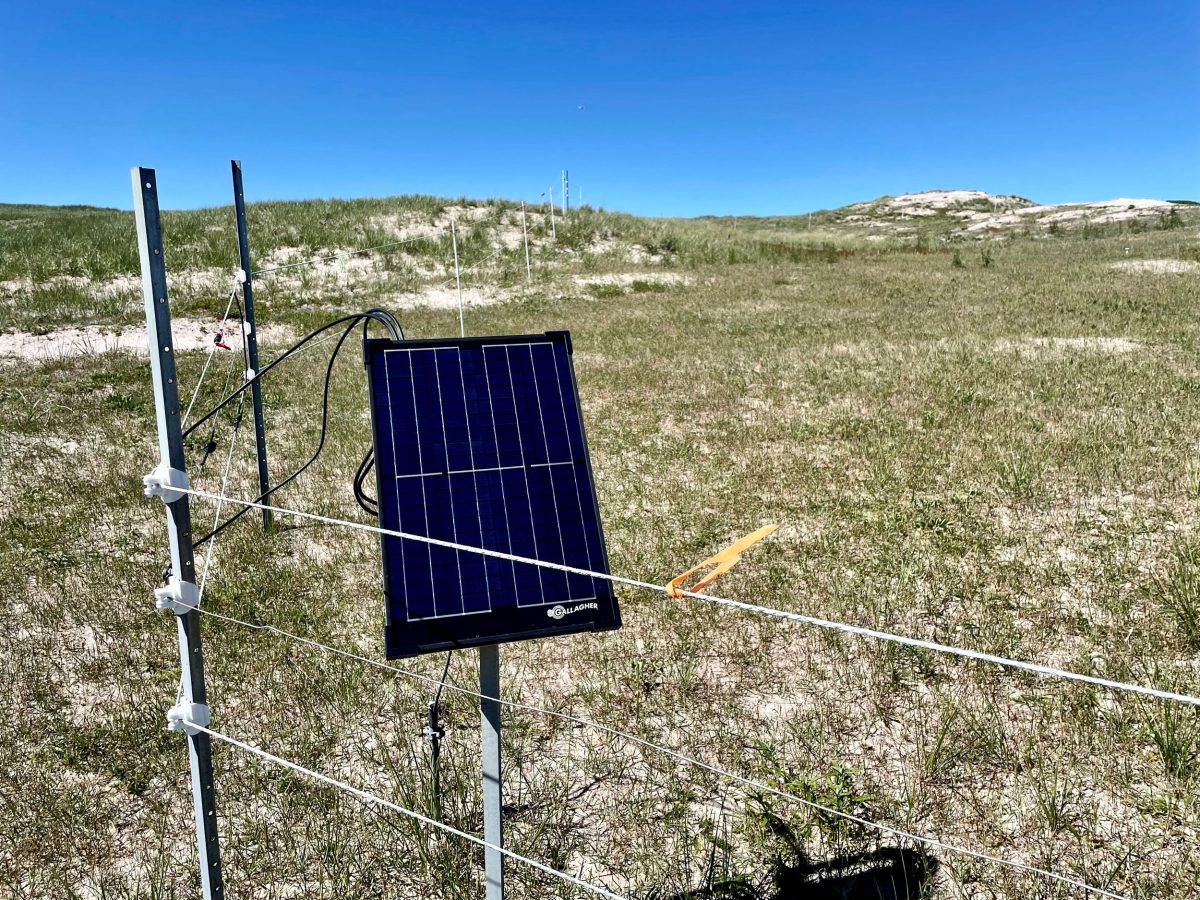 electric fence and solar panel on Sable Island