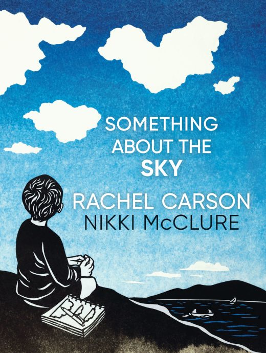 cover of the book Something About the Sky