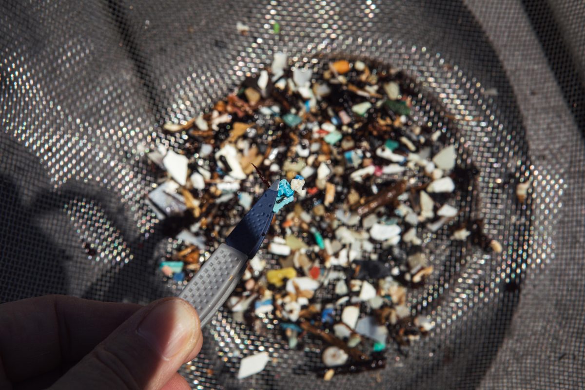 A closeup of microplastics being sorted after being pulled from the ocean