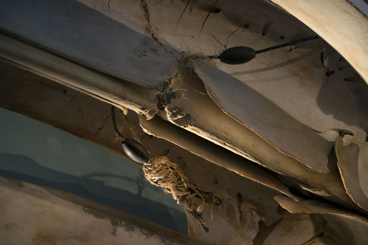 closeup of Spinnaker's skeleton showing embedded rope