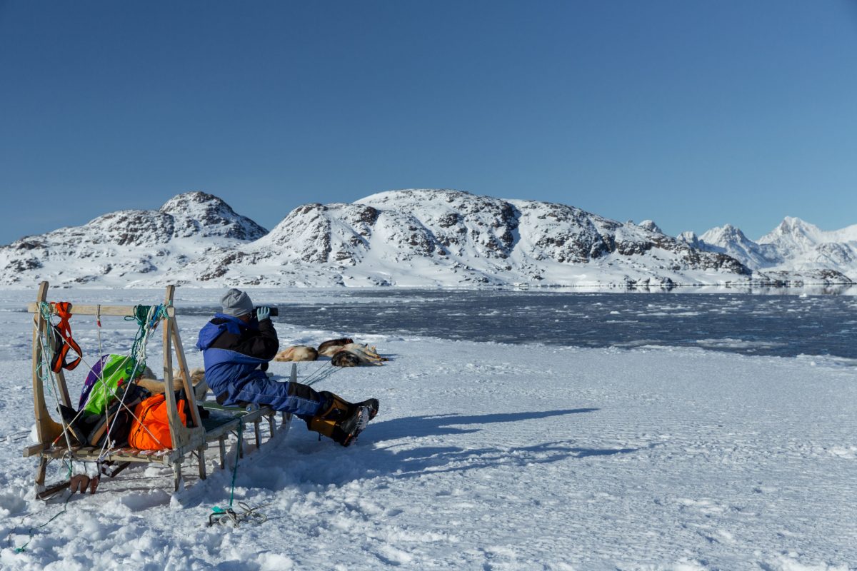 Kunuk Abelsen looks for seals from the edge of the ice as his dogs take a rest. Photo by Ken Bower