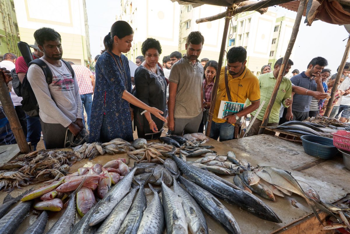 Karnad shows Fishploration participants examples of fish purchased from Kasimedu, Chennai’s main fishing harbor. 