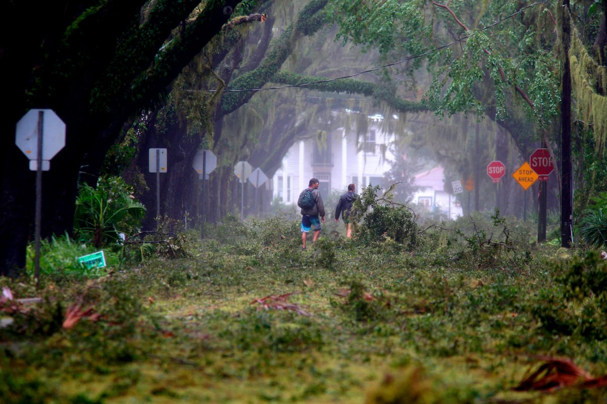 Magnolia Avenue in St. Augustine, Florida after Hurricane Matthew