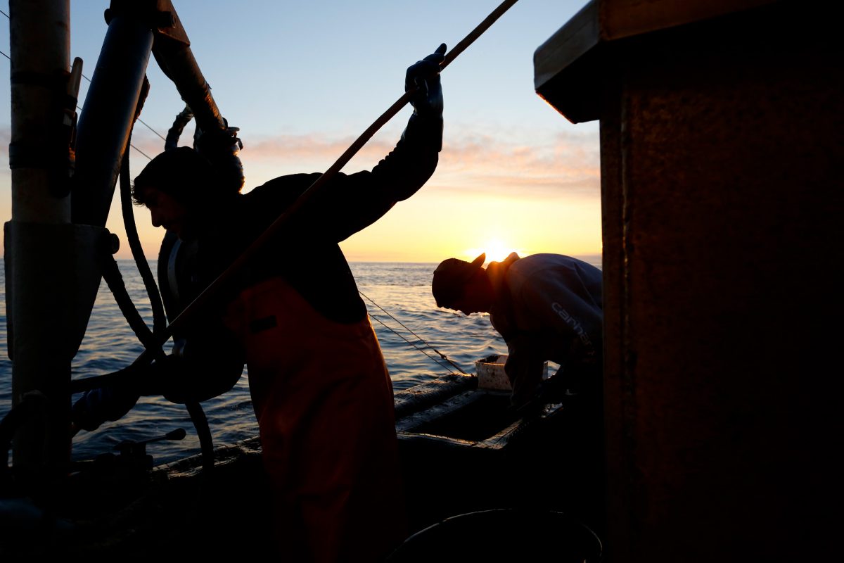 crabbing crew working at sunset