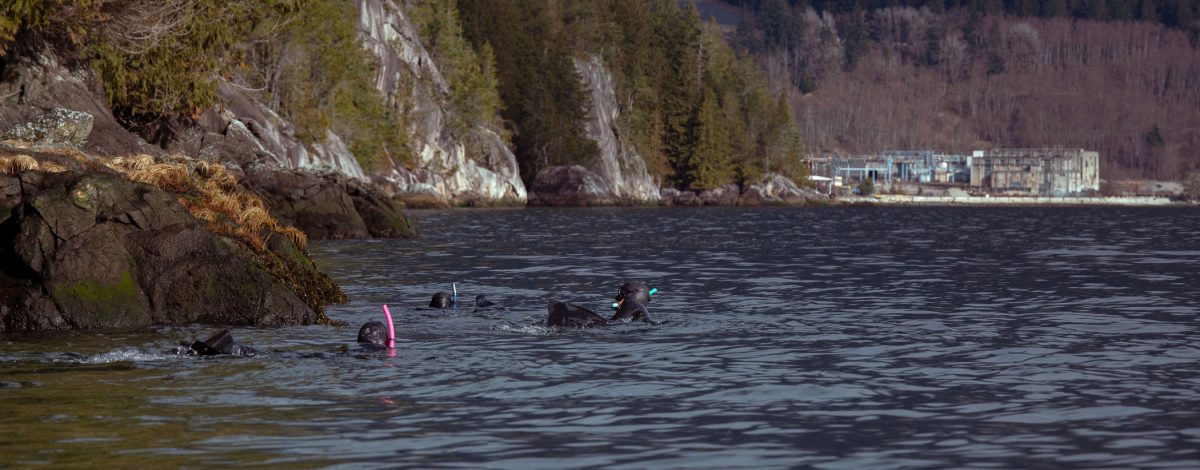 Members of the Search for Slhawt’ team snorkel in Howe Sound 