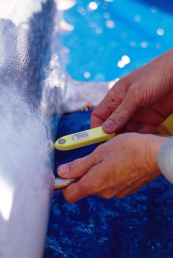 Tuna Research and Conservation Center staff often use internal sensors to gather data on the bluefin tuna’s movements and feeding habits. Photo by Stanford University/Monterey Bay Aquarium