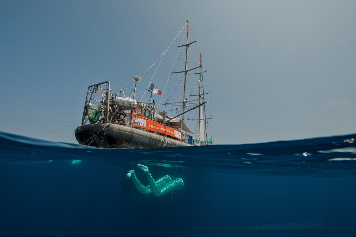 Tara research ship with deployed plankton nets