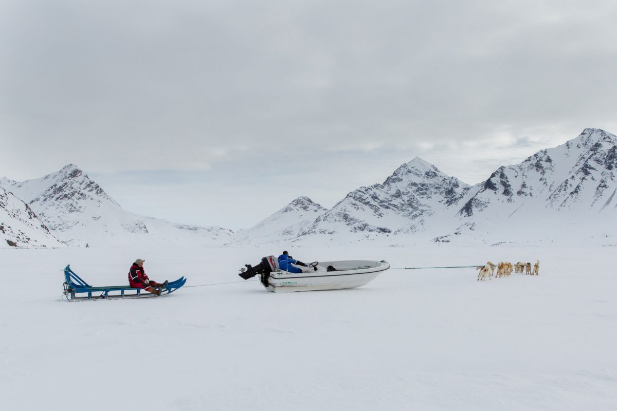 Kunuk Abelsen’s dogs pull his sled and his boat, which he decided to haul to the edge of the ice to get to better hunting grounds. Photo by Ken Bower