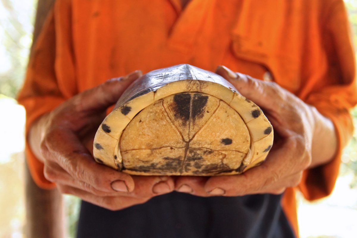 Tám Hổ holding a turtle