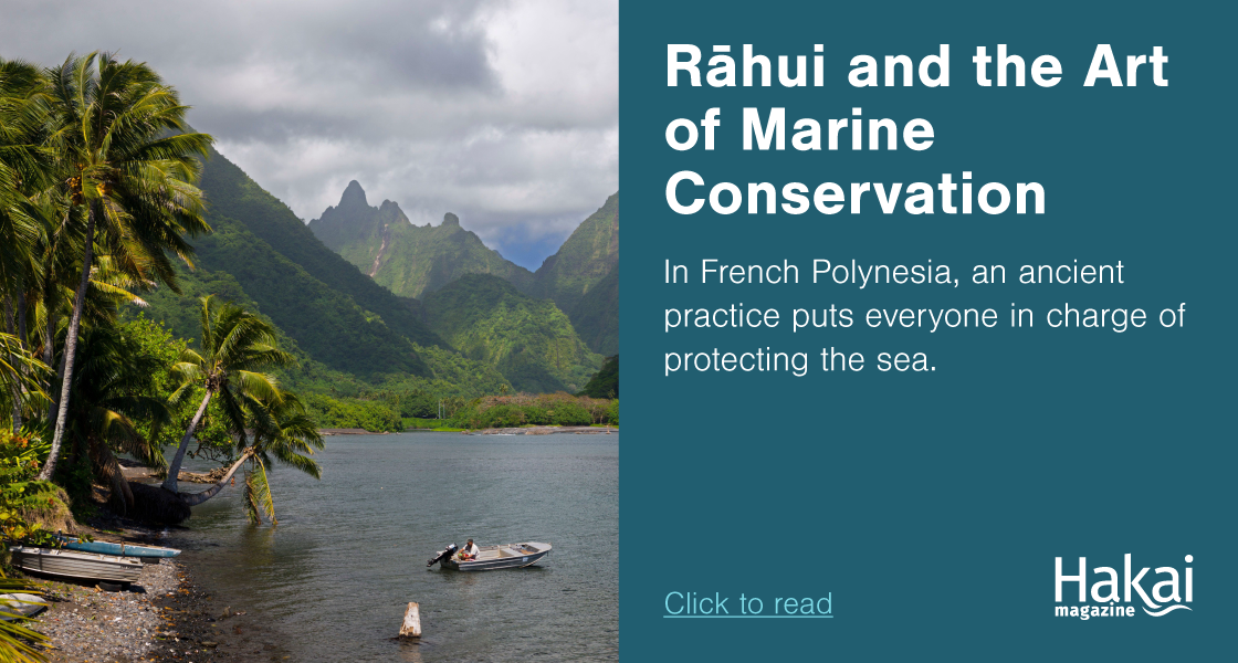 Rāhui and the Art of Marine Conservation
