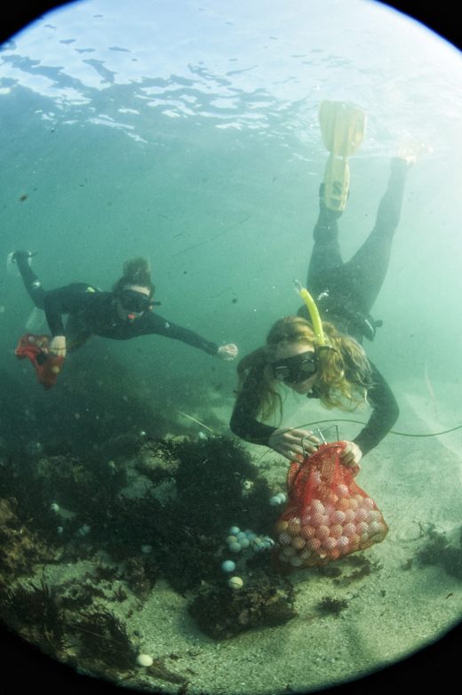 Aex Weber and Jack Johnston collecting golfballs off the ocean floor