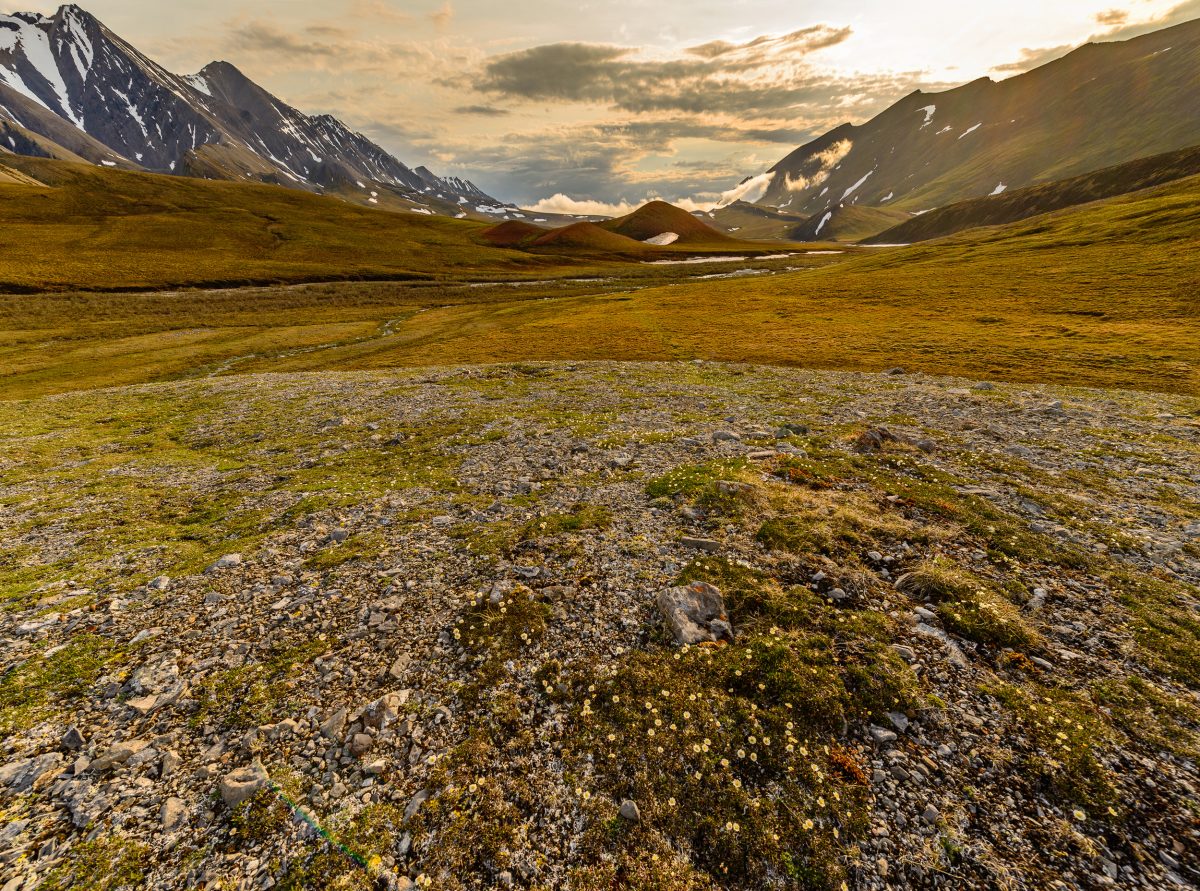 A storm clears in the late evening during the summer solstice in the valley between Shublik and Sadlerochit Mountains of the Brooks Range, in the Arctic National Wildlife Refuge.