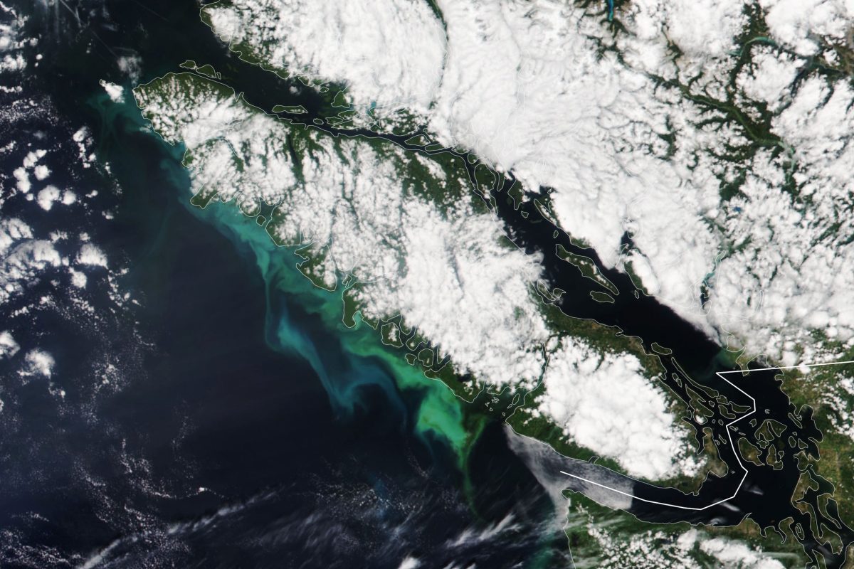 A satellite image of Vancouver Island, British Columbia