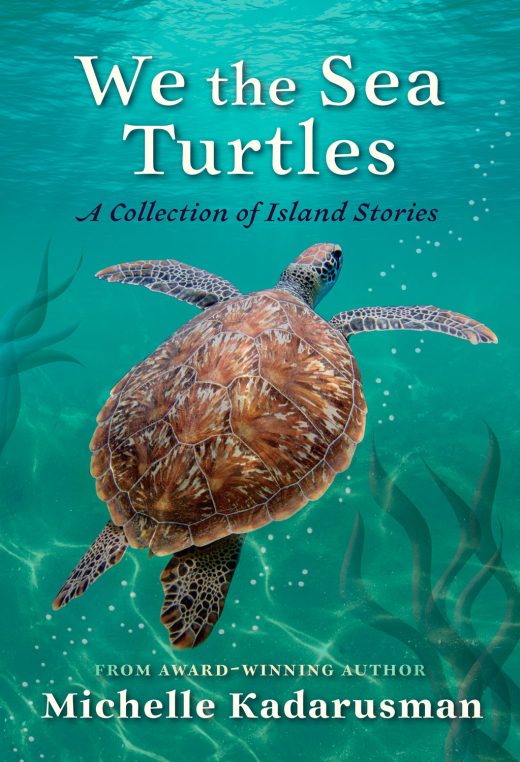 Cover image for We the Sea Turtles: A Collection of Island Stories